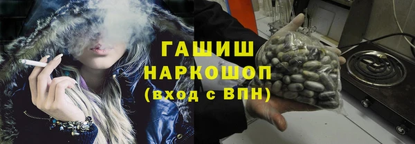 амф Тайга