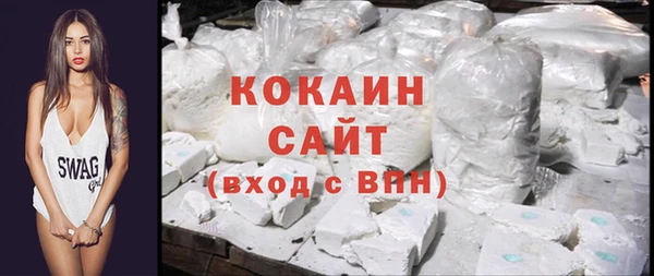 амф Тайга
