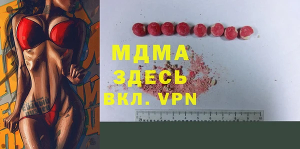 амф Тайга