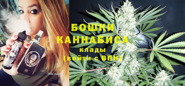 амф Тайга