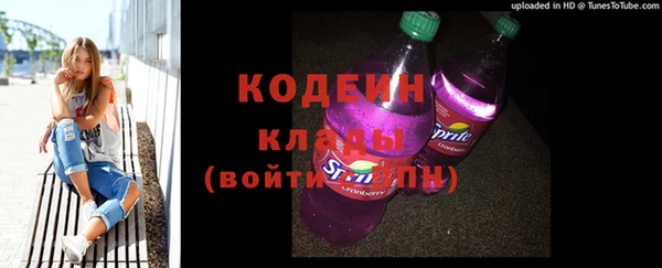 амф Тайга