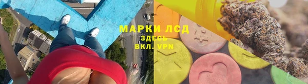 амф Тайга
