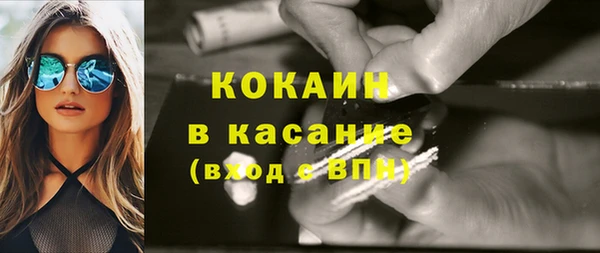 амф Тайга