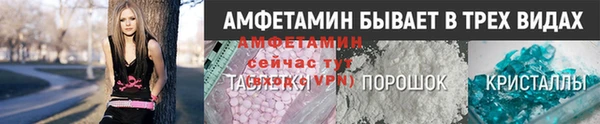 амф Тайга