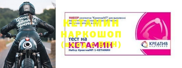 амф Тайга