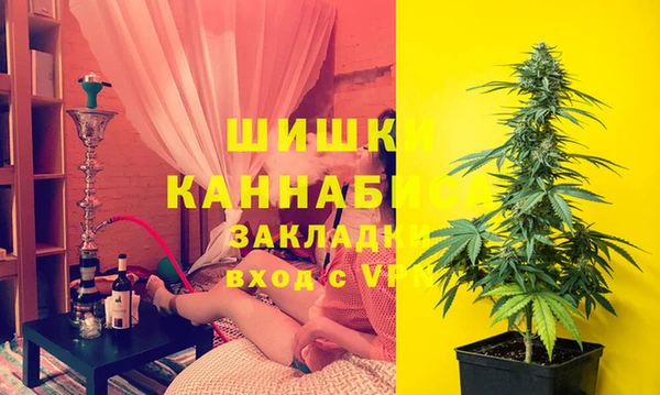 амф Тайга