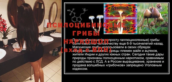 бошки Сясьстрой