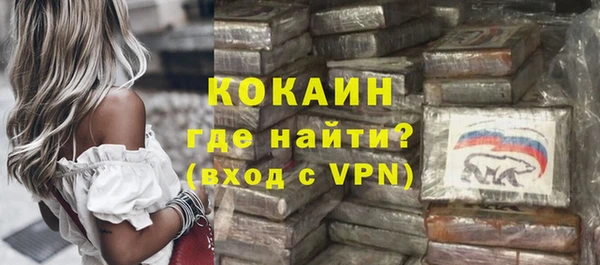 бошки Сясьстрой