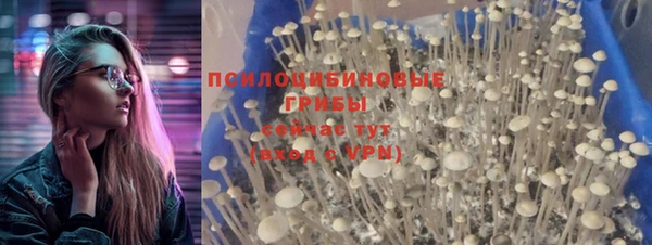 первитин Тавда