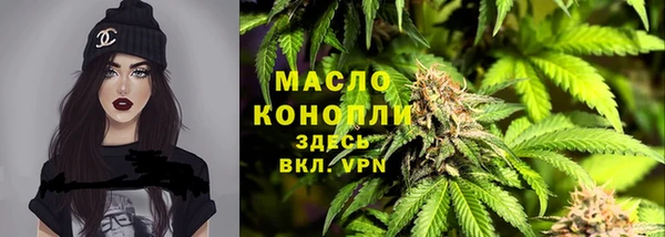 бошки Сясьстрой