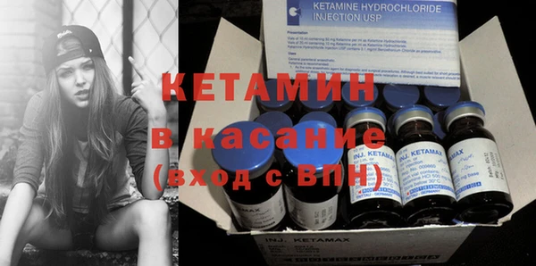 амф Тайга