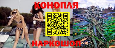 прущие грибы Балашиха