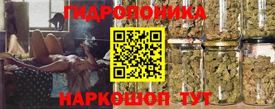 прущие грибы Балашиха