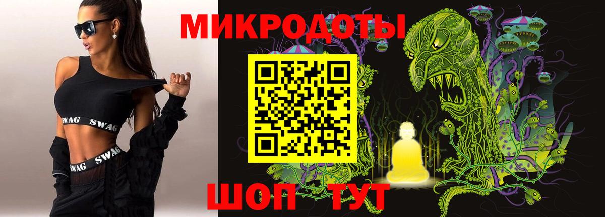 Галлюциногенные грибы Psilocybe Владивосток